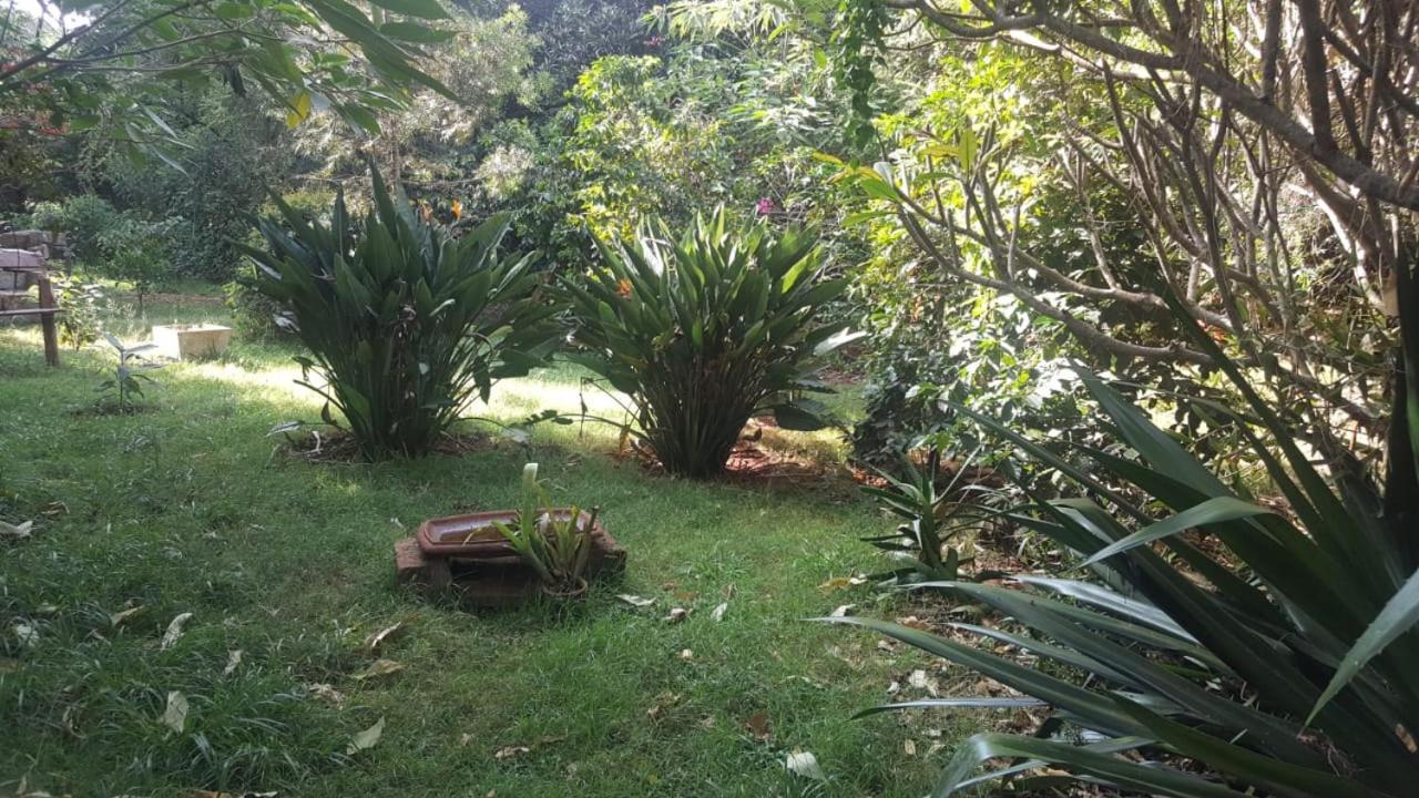 The Cottage-Place Of Grace 2Bdrm And Loft Bed All 4U At Usd58 Nairobi Zewnętrze zdjęcie