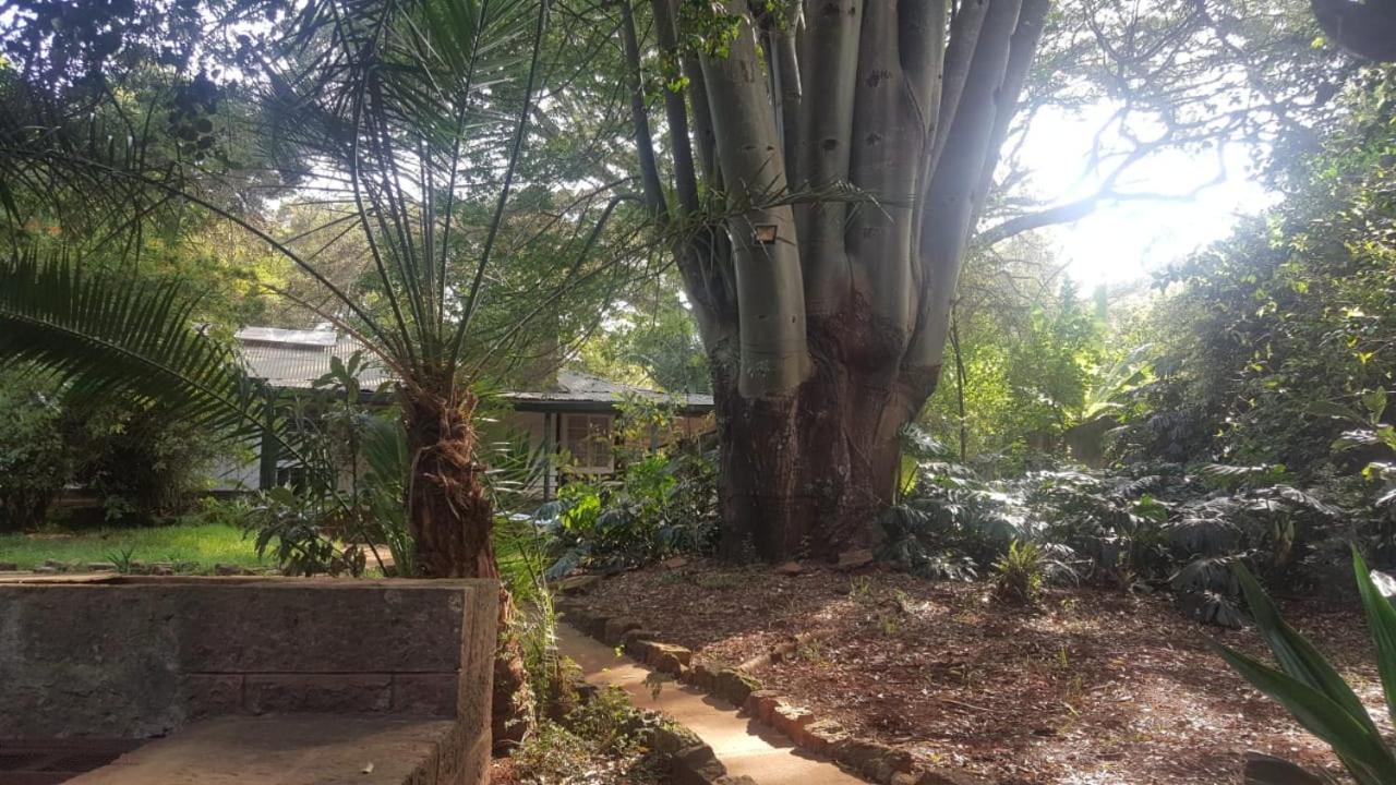 The Cottage-Place Of Grace 2Bdrm And Loft Bed All 4U At Usd58 Nairobi Zewnętrze zdjęcie