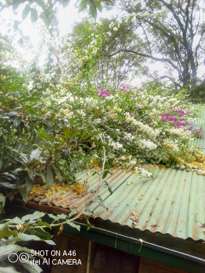 The Cottage-Place Of Grace 2Bdrm And Loft Bed All 4U At Usd58 Nairobi Zewnętrze zdjęcie